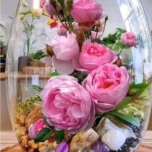 Meet your Posher, Betty